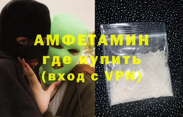 ГАЛЛЮЦИНОГЕННЫЕ ГРИБЫ Абаза